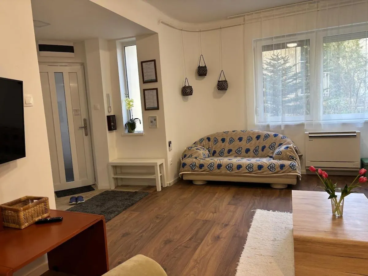 Varsanyi Home- Extra Location In The Heart Of Buda Будапешт
